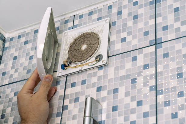 Best Home Air Vent Cleaning  in Williamston, NC