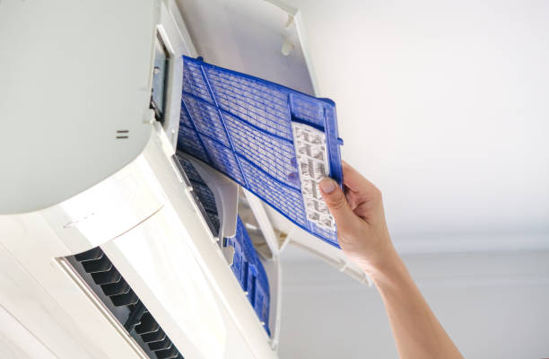 Best Air Duct Cleaning Near Me  in Williamston, NC
